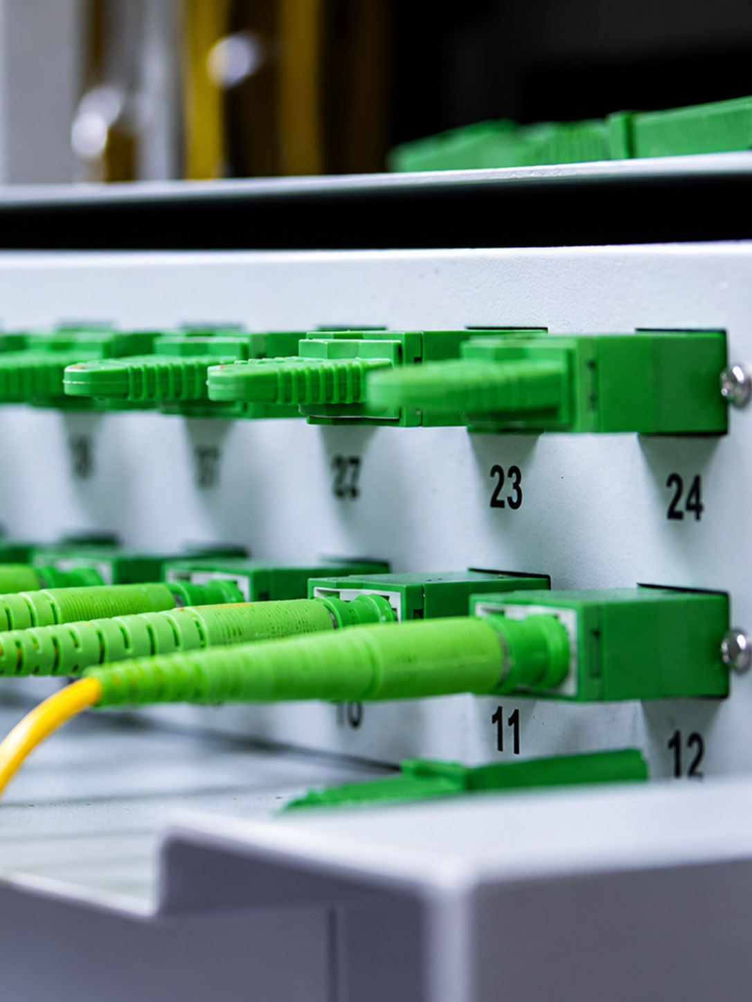 fibra